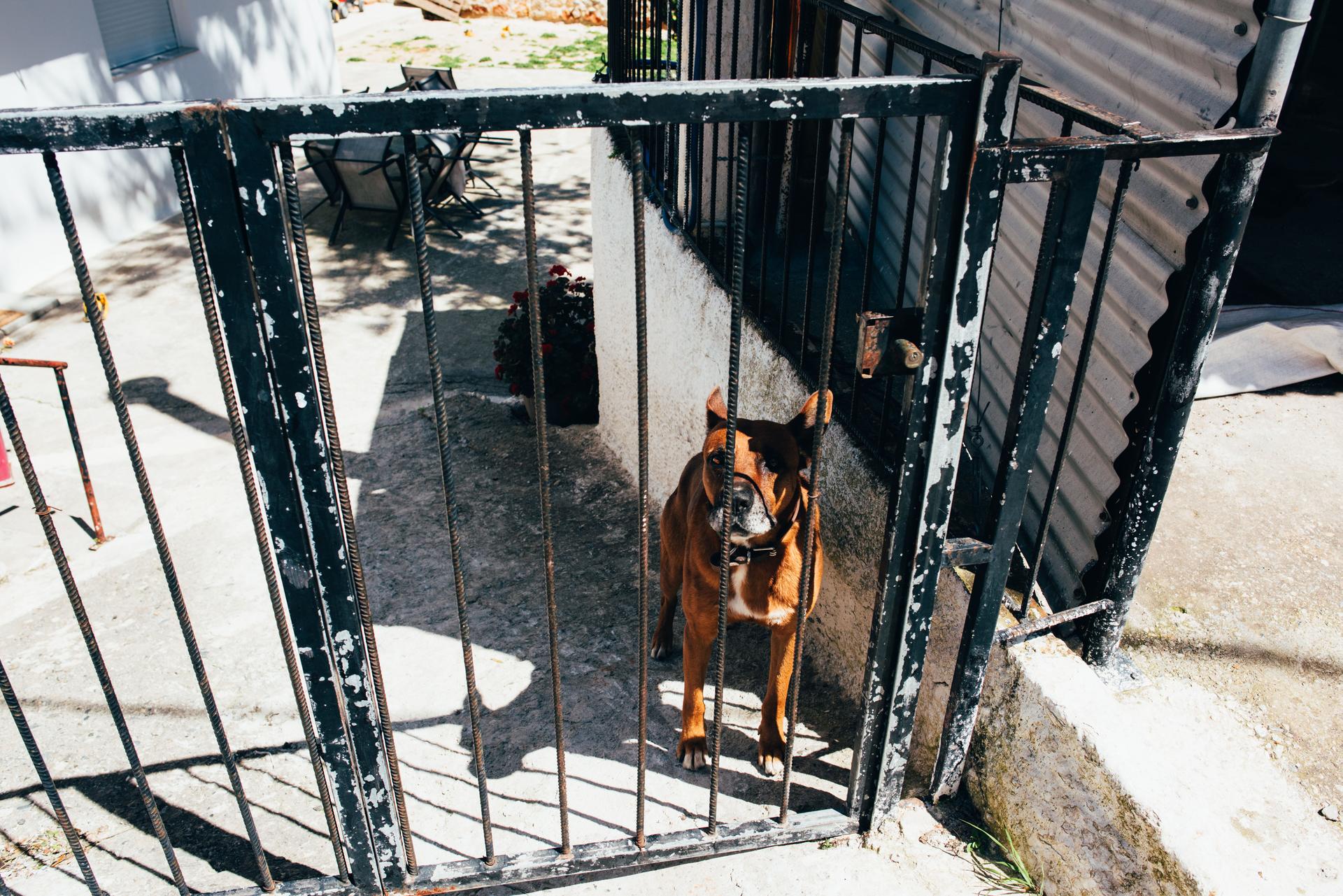 Anthropic Puts AI Evaluations Behind a Digital Safety Gate