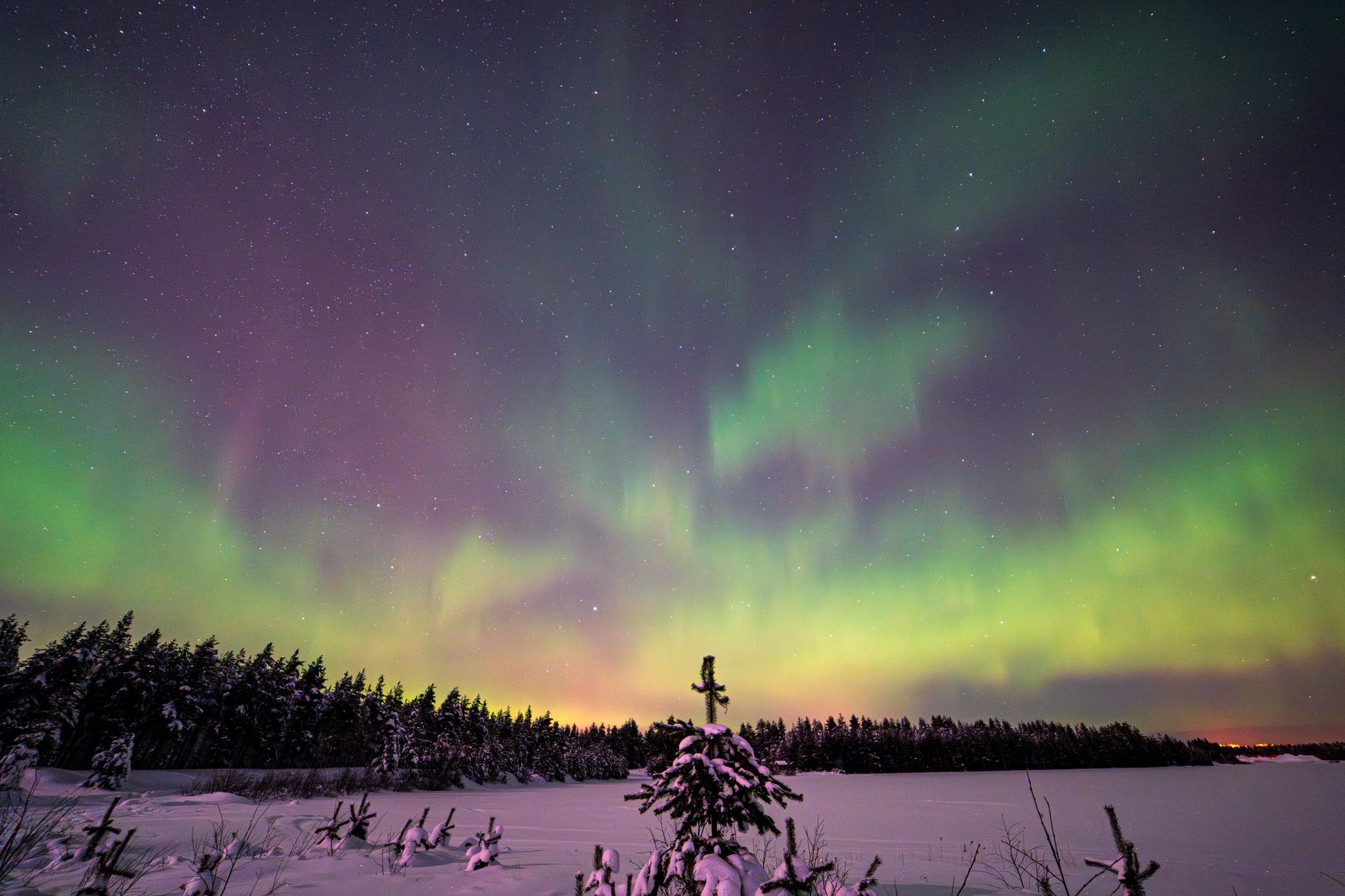 Google’s Finland Setback Exposes Environmental Risks in AI Expansion